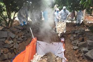 Huyện Trảng Bom tái phát dịch tả heo châu Phi