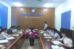 Lào Cai: Phát hiện 413 tổ chức, cá nhân có vi phạm