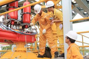 Hoàn thành vượt mức các chỉ tiêu 6 tháng đầu năm