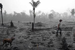 Cháy rừng Amazon: Brazil từ chối khoản viện trợ 20 triệu USD từ G7