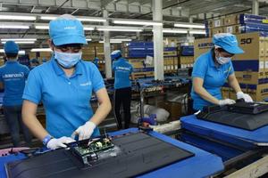 Quy định Made in Vietnam: Vẫn còn nhiều bất cập