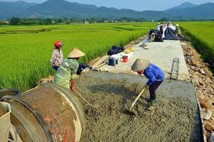 Bí thư Tỉnh uỷ Hoà Bình: Tỉnh sẽ giảm 1 huyện và 59 xã