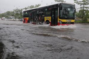 Hà Nội khẩn trương khắc phục ngập úng, đổ cây do bão số 3