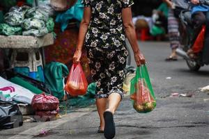 Thế giới này có thể không cần đến túi nylon