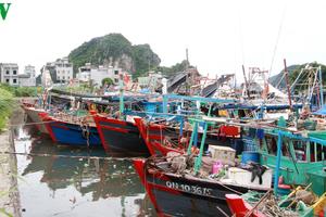 Huy động 377 nghìn cán bộ chiến sỹ tham gia ứng phó bão số 3