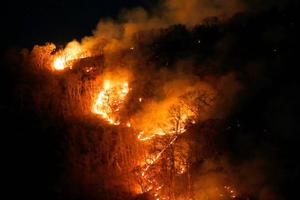 Cháy rừng Amazon, G7 và câu hỏi về quản trị toàn cầu