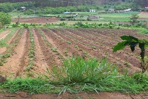 Tháo gỡ bất cập về ghi nợ tiền sử dụng đất