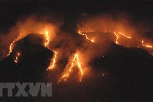 Hàng trăm đám cháy mới xuất hiện tại rừng Amazon ở Brazil