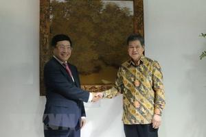 ​'Việt Nam sẽ đảm đương tốt vai trò Chủ tịch ASEAN năm 2020'