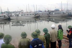 Các địa phương khẩn trương triển khai ứng phó với bão số 3