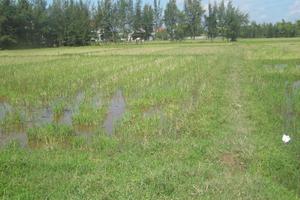 Bao giờ mới được giải quyết dứt điểm?