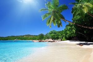 Phú Quốc sau cơn sốt đất