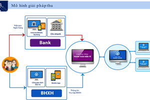 BHXH Việt Nam sẽ cắt giảm tối thiểu 25% số thủ tục hành chính