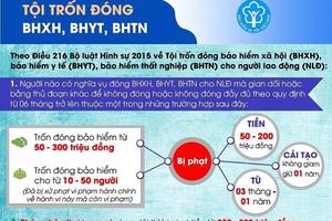 TAND Tối cao “tháo” vướng mắc trong xử tội phạm lĩnh bảo hiểm