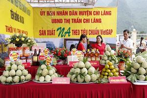 Lạng Sơn: Khai mạc hội na - Chi Lăng 2019