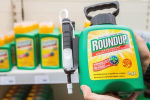 Đức sẽ cấm sử dụng thuốc diệt cỏ dại glyphosate vào cuối năm 2023
