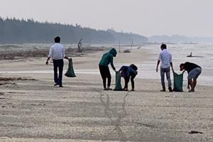 Hà Tĩnh: Hàng tấn cá biển chết trắng dạt vào bờ