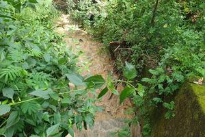 Chưa có giấy phép xả thải vào nguồn nước theo quy định