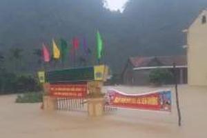 Hoãn khai giảng năm học mới tại 239 trường