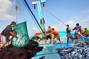 Quy chế hoạt động của BCĐQG về chống khai thác hải sản bất hợp pháp