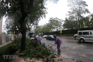 Mưa lũ gây ngập lụt nhiều nơi ở Lâm Đồng, 1 người bị lũ cuốn mất tích