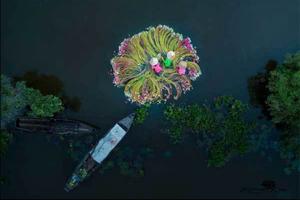 Việt Nam đẹp mê hoặc từ trên cao