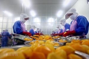 Cả nước xuất siêu 3,4 tỷ USD trong tám tháng đầu năm