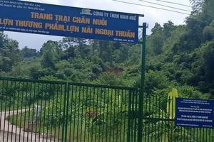 Bắc Kạn: Trang trại lợn gây ô nhiễm môi trường?