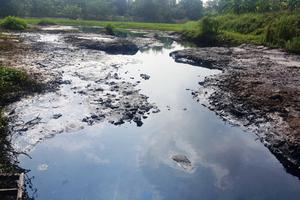 Các bộ, ngành, địa phương vào cuộc