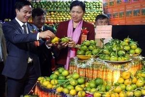 Ngày hội trái cây và nông sản an toàn Lào Cai năm 2019