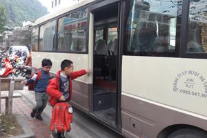 Dừng hoạt động xe chở học sinh không có phù hiệu