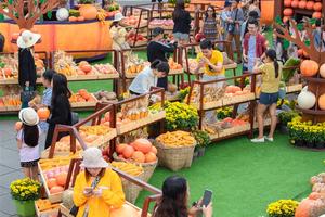 Happy Halloween, du khách Miền Trung - Tây Nguyên tiếp tục hưởng ưu đãi tới hơn 60% khi tới Bà Nà Hills