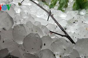 Không khí lạnh tràn về gây mưa lớn có khả năng xuất hiện mưa đá