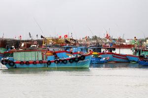 Các tỉnh từ Đà Nẵng đến Bà Rịa-Vũng Tàu cần ứng phó với áp thấp