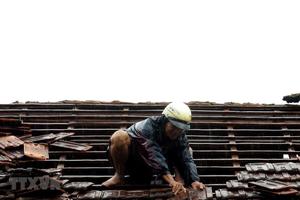 Bão số 5 gây nhiều thiệt hại tại tỉnh Quãng Ngãi, 4 người bị thương