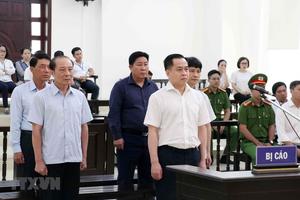 Phan Văn Anh Vũ đã được 'tiếp tay' như thế nào để thâu tóm đất công?