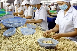 Cơ cấu mặt hàng xuất nhập khẩu giữa Việt Nam và Israel có tính bổ sung