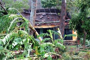 Quảng Ngãi: 1 người mất tích và 12 người bị thương do mưa bão