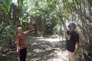 Cần thu hồi sổ đỏ cấp sai quy định về thừa kế di sản