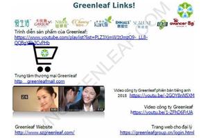 Bộ Công thương cảnh báo mạng lưới đa cấp không phép của Greenleaf