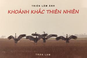 Triển lãm ảnh “Khoảnh khắc thiên nhiên”