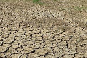 Tăng cường các giải pháp chống hạn hán, thiếu nước, xâm nhập mặn