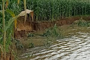 Từ vụ bắt giữ, hé lộ lỗ hổng quản lý