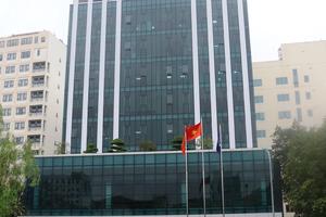 Vì sao Giám đốc Điện lực TP Thanh Hóa sinh con thứ 3 không bị kỷ luật?