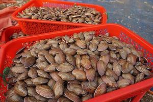 Tung tin đồn “chết vì ăn sò lụa” ở Cà Mau sẽ bị xử lý thế nào?