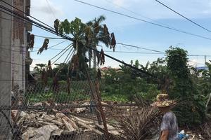 Hàng trăm lần gửi đơn vẫn chưa được giải quyết dứt điểm