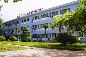 Trung tâm Đào tào trẻ tự kỷ Tâm Việt: Đã chấm dứt hoạt động tại Trường Thể dục thể thao Bắc Ninh 