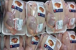 Nhập khẩu thịt gà: Không tác động tiêu cực đến ngành chăn nuôi