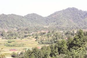 Bắc Kạn: Kiểm điểm cán bộ giao đất lâm nghiệp sai cho Cty Lâm trường Bắc Kạn