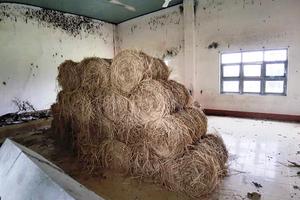 Bình Định: Trường học biến thành… nơi chứa cỏ